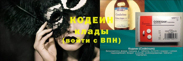 гашик Кодинск