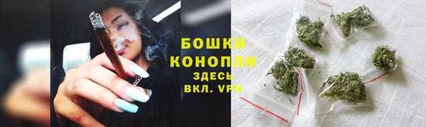 гашик Кодинск