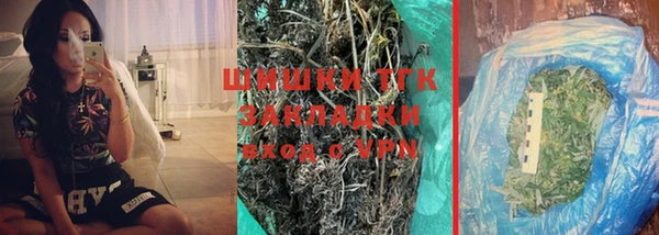 индика Киреевск