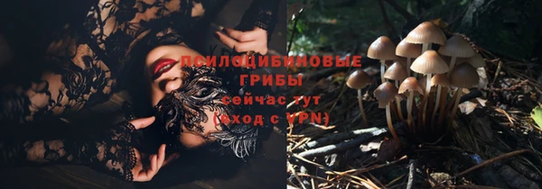гашик Кодинск