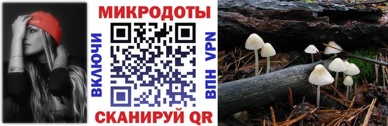 Галлюциногенные грибы мицелий  Княгинино 