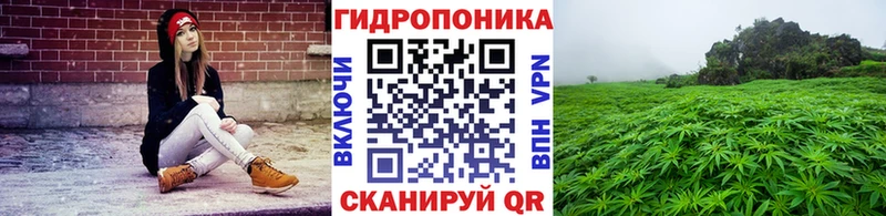 купить наркотик  Княгинино  Марихуана семена 